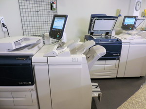 Immagine negozio o azienda